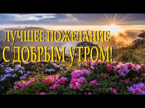 'А может просто встать с другой ноги' Наталья Гондарь (С добрым утром) Читает Леонид Юдин