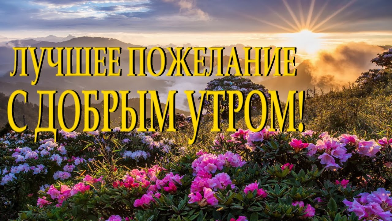 "А может просто встать с другой ноги" Наталья Гондарь (С добрым утром ...