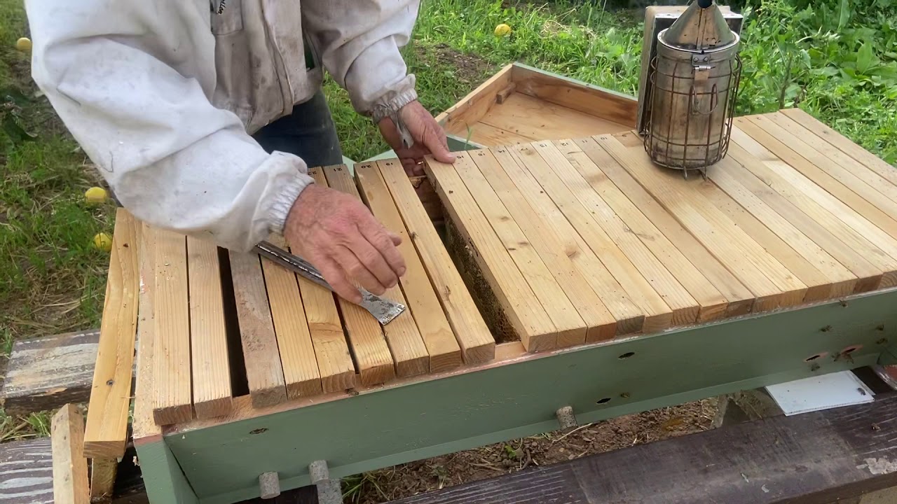 Top Bar Hive inspection YouTube