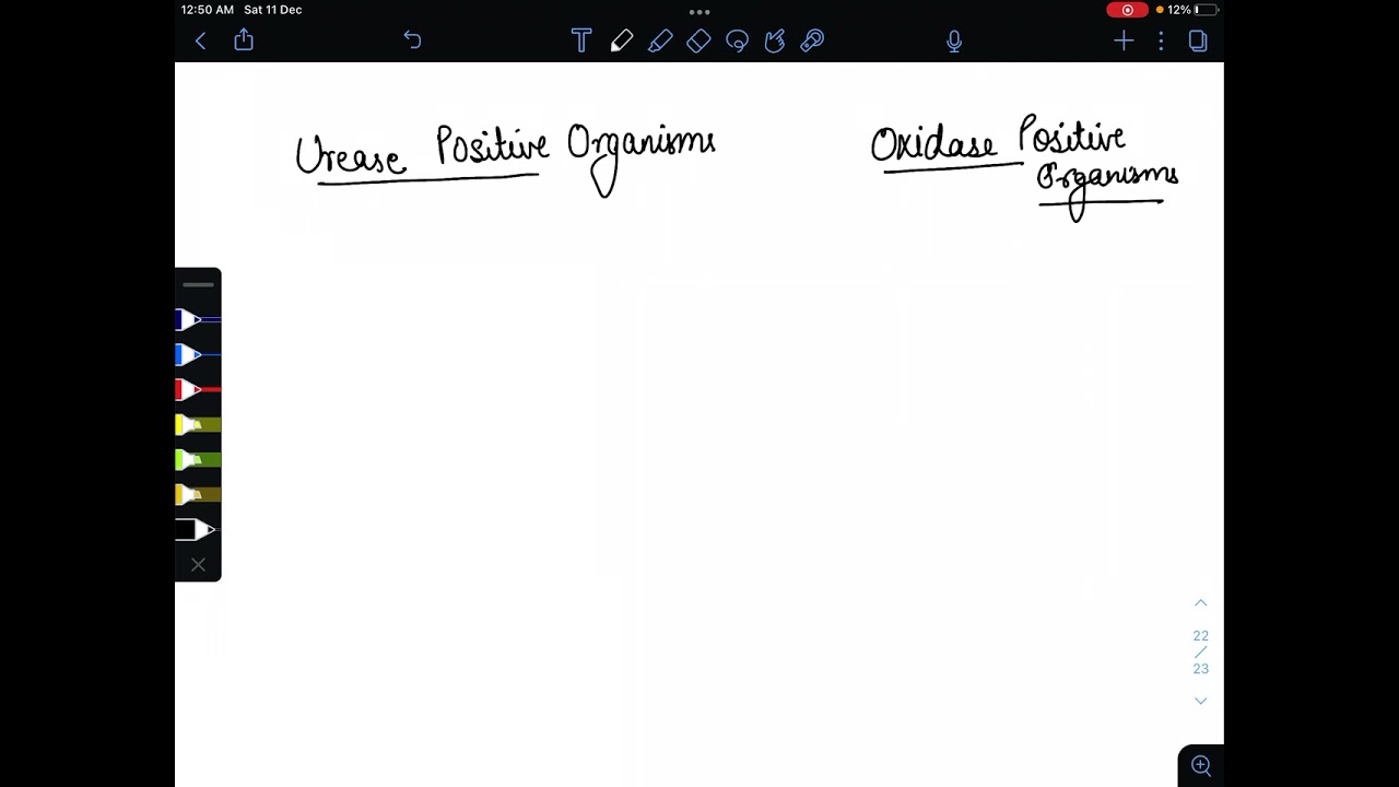 Flashcard 1- urease positive and oxidase positive organsims mnemonic