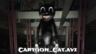 Cartoon_Cat.avi