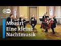 Mozart eine kleine nachtmusik  gewandhaus quartet with stefan adelmann double bass