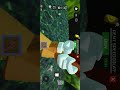 #berry