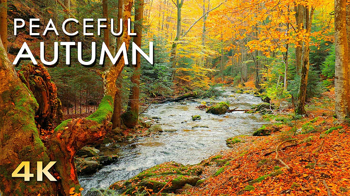Permanent Link to 4K Autumn Forest – Relaxing Nature Video & River Sounds – NO MUSIC – 1 hour Ultra HD 2160p