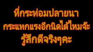 นิยายเสียง | ลุงทอง | นิยาย​เรื่องสั้น​จบ​ใน​ตอน​