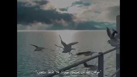 راح نفسيه قرآن كريم بصوت جميل 🎧💙💙 360P3