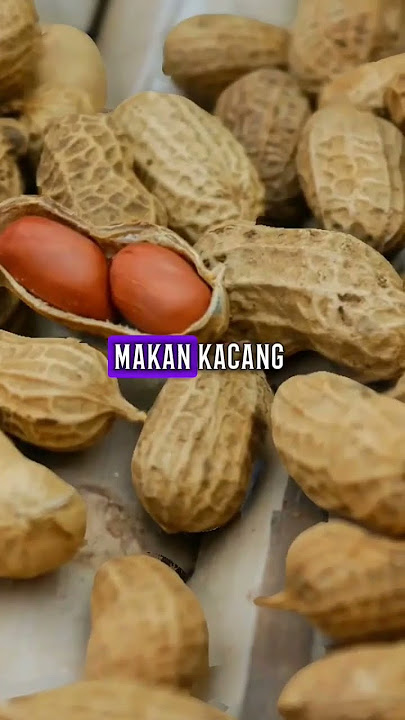 Download lagu Manfaat kacang tanah bagi penderita diabetes #hidupsehat #manfaatkesehatan