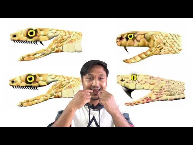 Gey, bi va trans porno filmlarini tomosha qiling