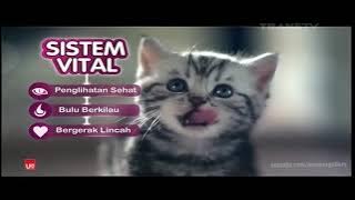 Download lagu Iklan Whiskas Junior - Bekal untuk Naluri Hebatnya (2016) @ Trans TV, RCTI, MNCTV, Indosiar, & ANTV