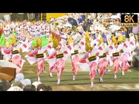 【2023阿呆連】台風でも一糸乱れぬ圧巻の阿波踊り - Awaodori in 8K UHD