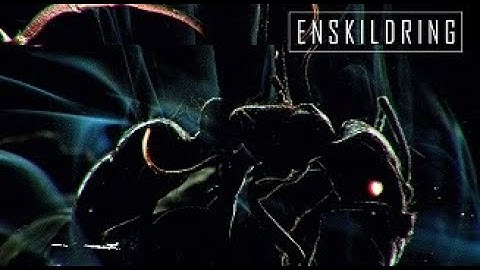 Enskildring-Enskildring