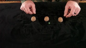 The 3 Shell Game... From Bob