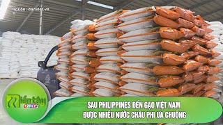 Sau Philippin đến gạo Việt Nam được nhiều nước Châu Phi ưa chuộng