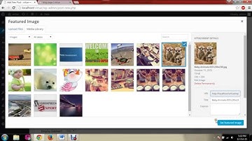 Virtue Wordpress Theme Tutorial 4