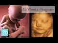 35 weeks pregnant what you need to know  channel mum