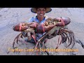 Traditional Fishermen Hunt Giant Mud Crab When The Water Has Receded