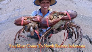 Traditional Fishermen Hunt Giant Mud Crab When The Water Has Receded