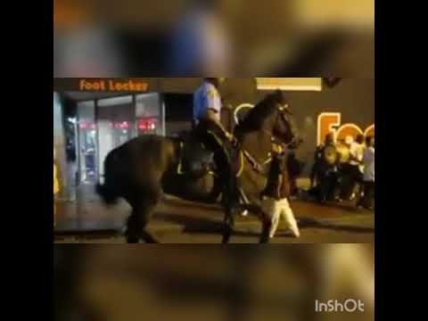 Así reaccionó este caballo policía al escuchar su canción favorita