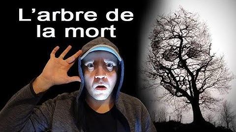 L'ARBRE LE PLUS DANGEREUX DU MONDE  - l'arbre de la mort