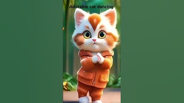 Little Cat, big moves | Chhoti Billi, bara dance | #cats #shorts #funny #ytshorts #youtubeshorts