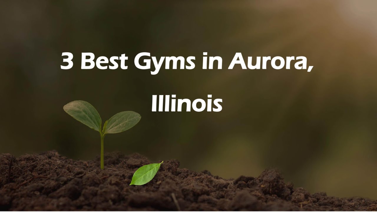3 Best Gyms in Aurora, Illinois | Fitness Centers