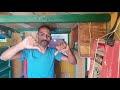 امراض الحمام نقطة ومن اول السطر التربو ابوحازم