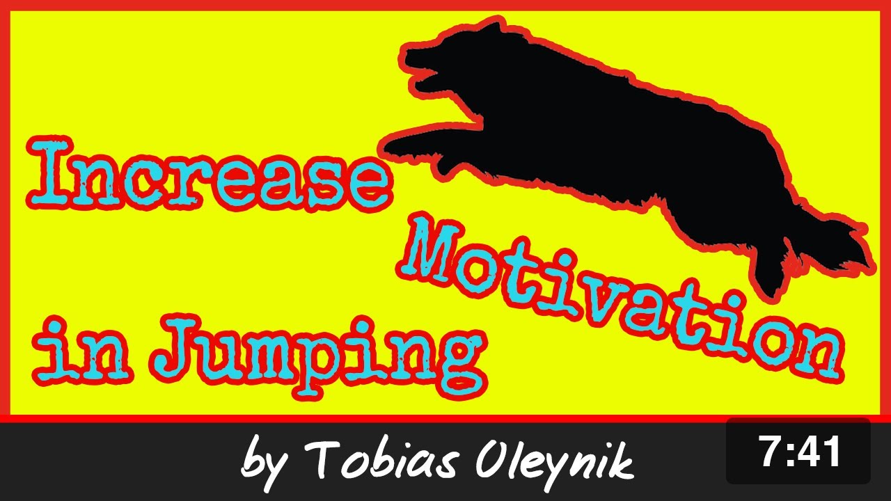Teach your dog to jump better - increase motivation