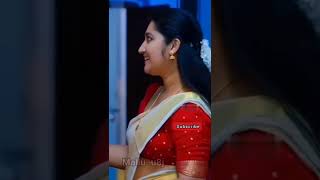 Malayalam Serial Actress Susmitha Prabhakaran