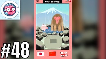 Brain Wash Level 48 answer - What country Solution Walkthrough