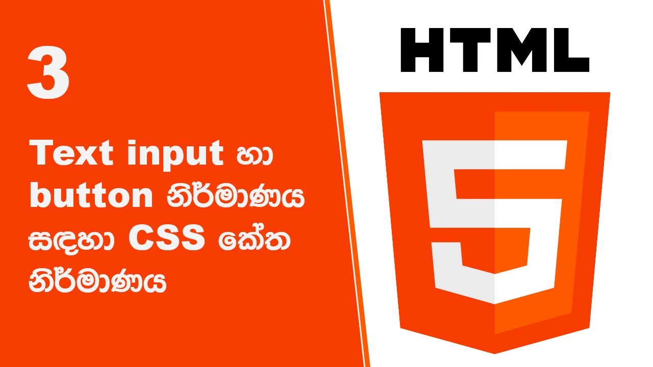 3 Text input හා button නිර්මාණය සඳහා CSS කේත නිර්මාණය - YouTube
