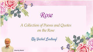 A Collection of Poems and Quotes on the Rose - By Vachel Lindsay (Read by Narad)