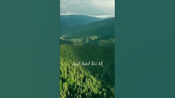 ودخل المدينة على حين غفلة من أهلها | الآية 15 من سورة القصص #ياسر_الدوسري