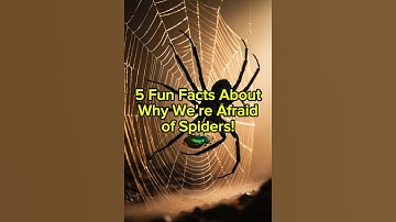 5 Fun Facts About Why We’re Afraid of Spiders!