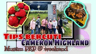 Tips and itinerary Bercuti di Cameron Highland semasa musim PKP