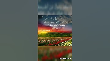 لقد جاءكم رسول من أنفسكم (القارئ مشاري العفاسي )💚
