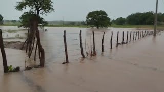 CHUVAS NO NORDESTE HOJE 27/03/24