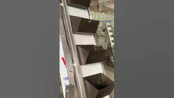 2.0M Granule Bucket Elevator