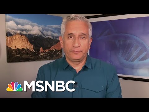 Dr. John Torres Fact Checks Trump’s Claim About ‘Harmless’ Virus Cases | Andrea Mitchell | MSNBC