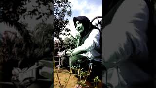 Rasa Sinar Matahari Pagi Di Desa Pandan Sari, Wajib Di Coba