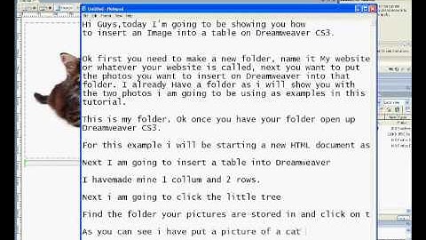 Inserting Images Into Dreamweaver CS3