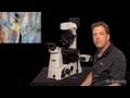 Microscopy: Phase, Polarization, and DIC (Stephen Ross)