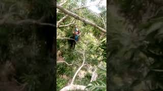 Aquí con la banda cortando lichis en arroyo blanco