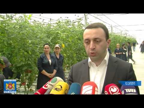 პრემიერმა და გუბერნატორმა ცაიშში ახალი სასათბურე მეურნეობა დაათვალიერეს