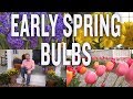 March Garden Design Tips 2019: Early Spring Bulbs (P. Allen Smith)