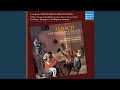 Miniature de la vidéo de la chanson Bauern-Kantate, Bwv 212: Xiv. Aria (Soprano): Klein Zschocher Müsse So Zart Und Süße