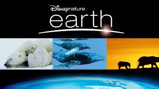 Disneynature Earth | Disney This Day | April 22, 2009