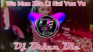 Wo Men Zhe Li Hai You Yu 我們這裡還有魚 Remix By Dj Brian Bie