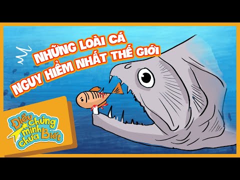 Những Loài Cá Nguy Hiểm Nhất Thế Giới | Điều Chúng Mình Chưa Biết | Hi Pencil Studio