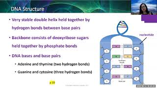 Ch 3 Genetics - Part 1 Wealth