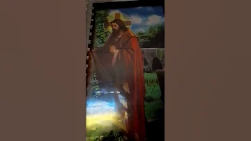 Shorts Mezmur Orthodox 
